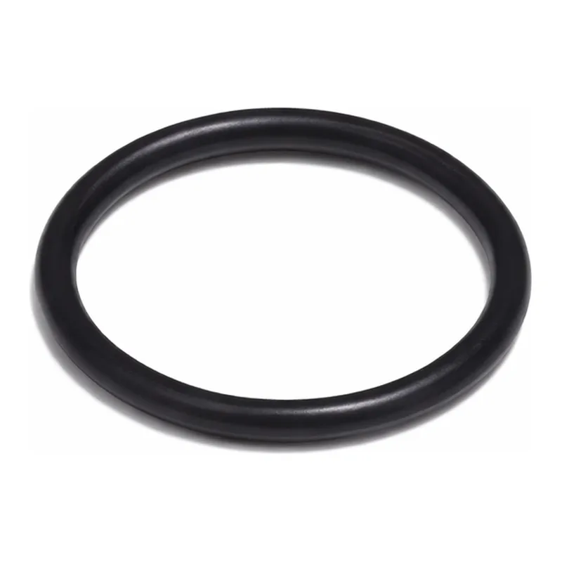 Agilent O-Ring S/C Bung 1ID x 1-3/16OD x 3/32 IN