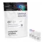 Thermo Fisher Scientific Click-iT Plus Alexa Fluor 647 Picolyl Azide Toolkit