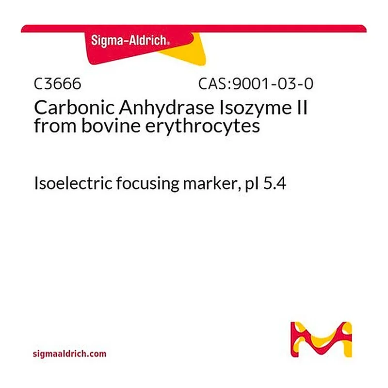 Merck Carbonic Anhydrase Isozyme II from bovine erythrocytes