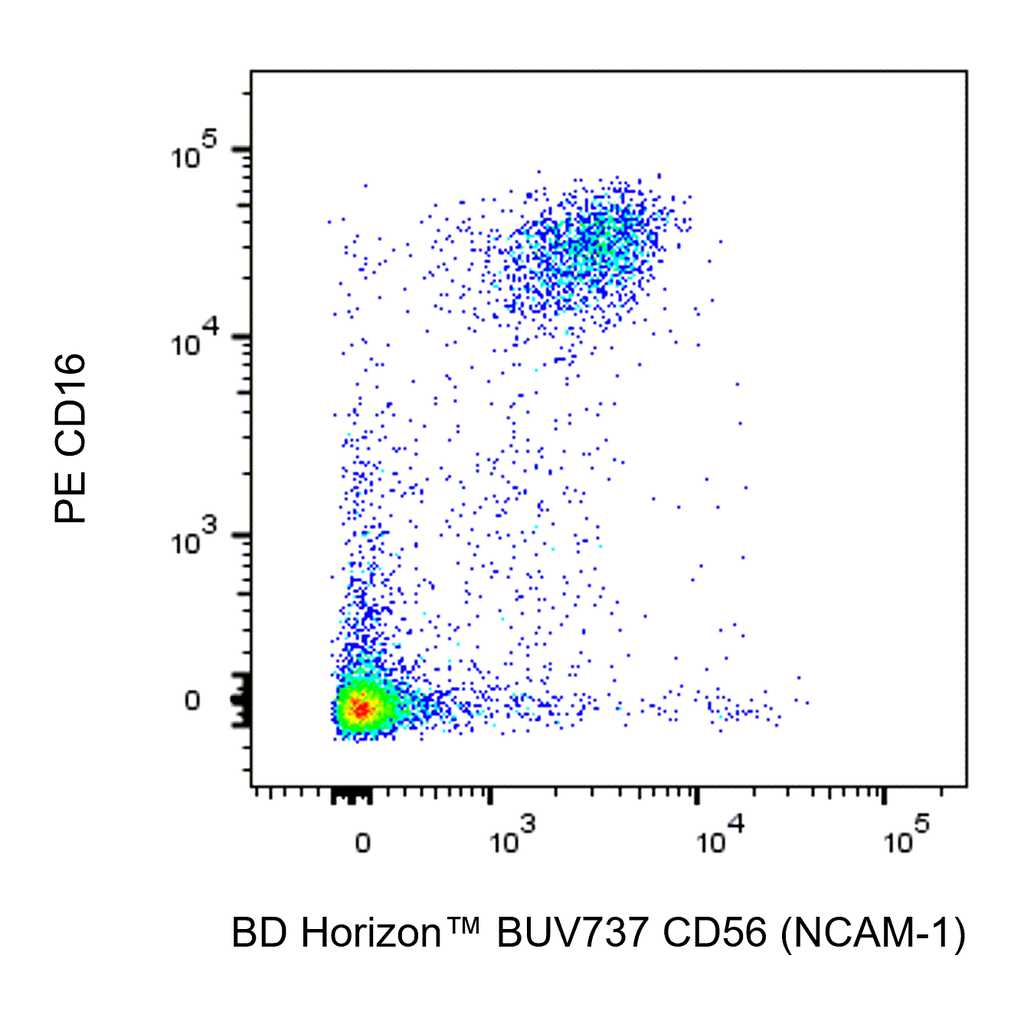 BD BUV737 Mouse Anti-Human CD56 (NCAM-1)