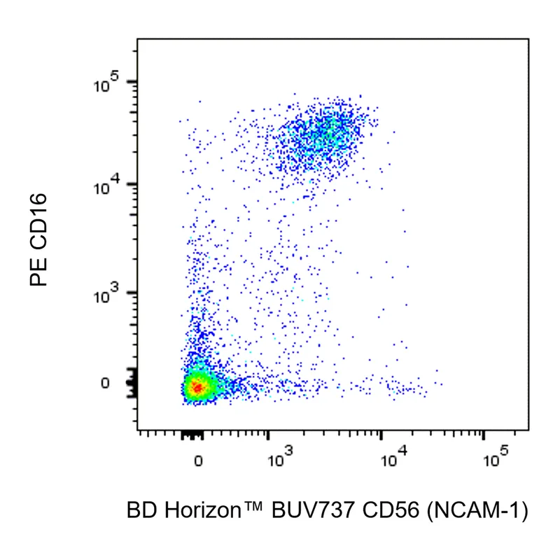 BD BUV737 Mouse Anti-Human CD56 (NCAM-1)