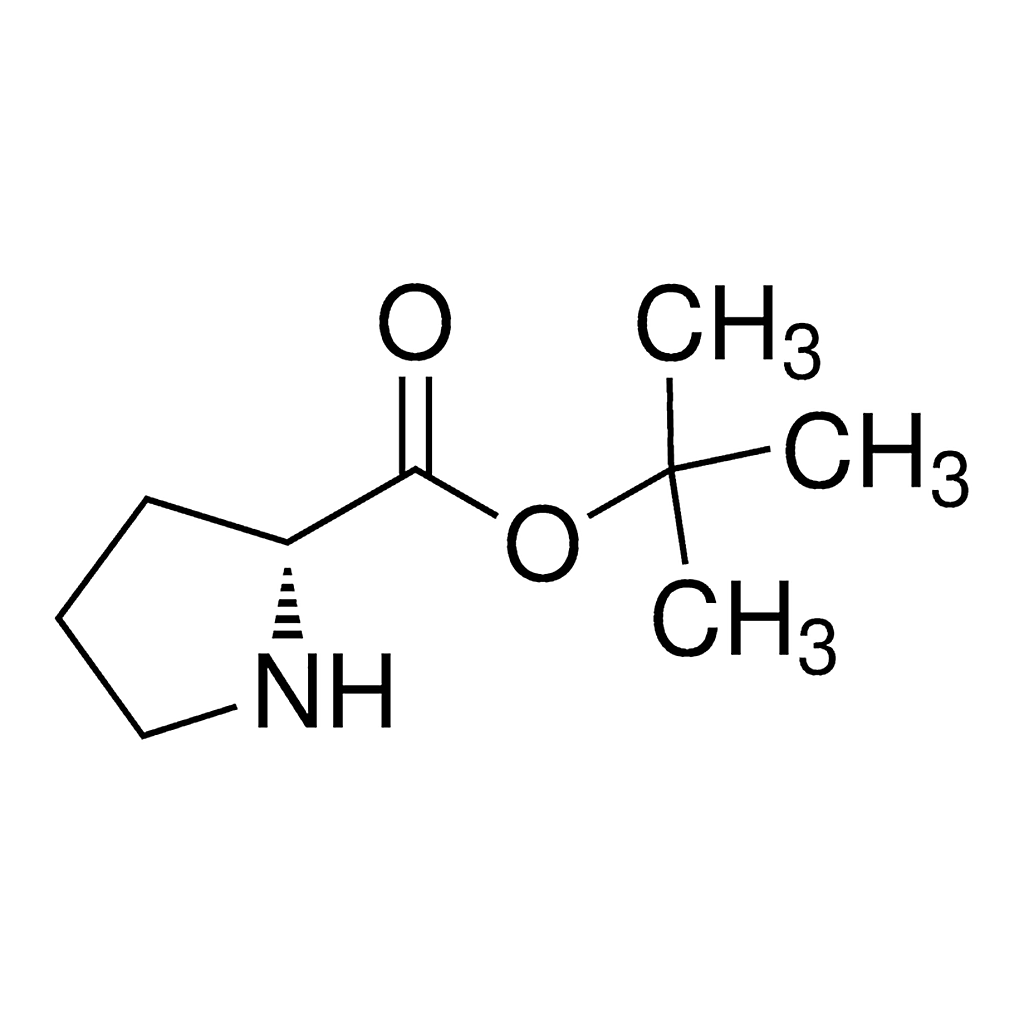 Merck h-D-pro-otbu