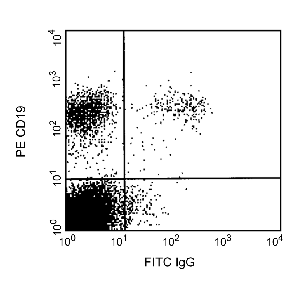 BD FITC Mouse Anti-Human IgG