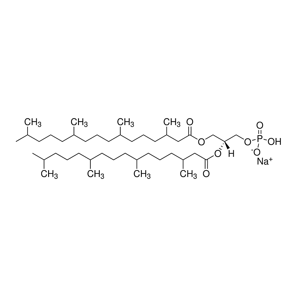 Merck 4ME 16:0 PA