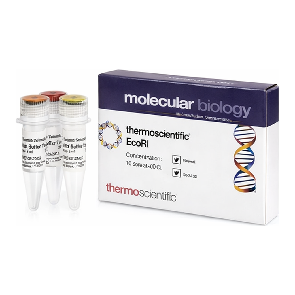 Thermo Fisher Scientific EcoRII (10 U/&mu;L)