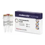 Thermo Fisher Scientific EcoRII (10 U/μL)