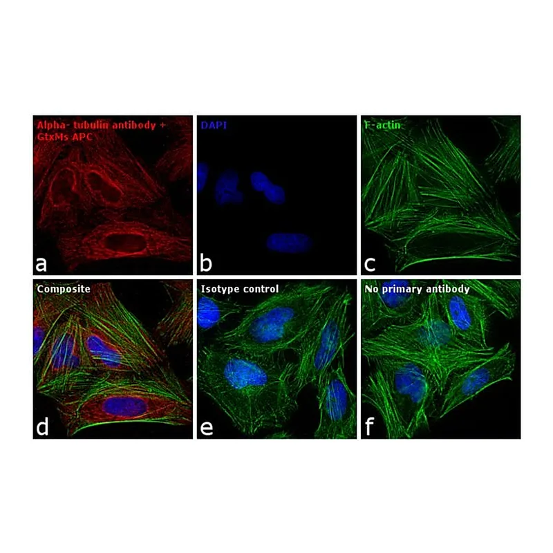 Thermo Fisher Scientific Goat anti-Mouse IgG (H+L) Cross-Adsorbed Secondary Antibody, APC