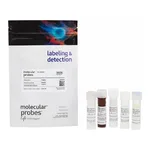 Thermo Fisher Scientific CellROX Orange Flow Cytometry Assay Kit