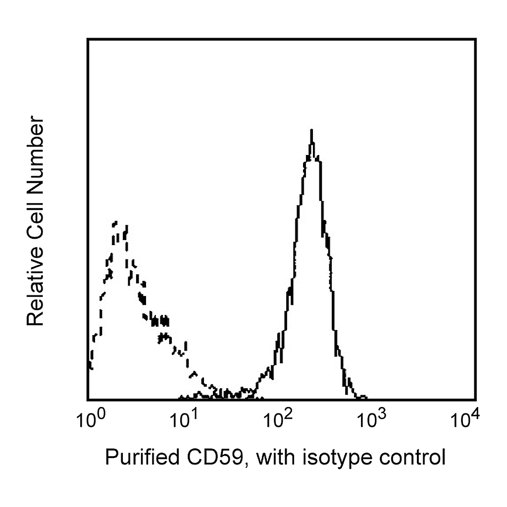 BD Purified Mouse Anti-Human CD59
