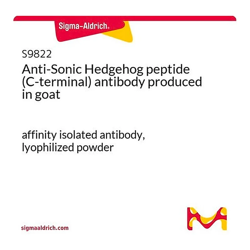 Merck Anti-Sonic Hedgehog peptide (C-terminal) antibody produced in goat