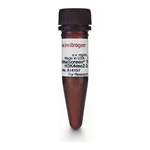 Thermo Fisher Scientific LanthaScreen Tb-anti-Histone H3K4me3 Antibody, 100 ug