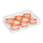Lklab Korea Cell Culture Plate / 셀 컬쳐 플레이트