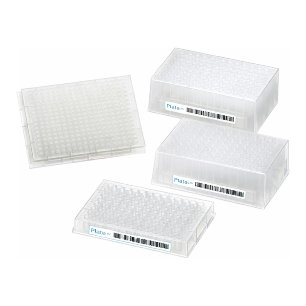Thermo Fisher Scientific 384-웰 플레이트, 240µL, 둥글려진 정사각형 8mm 직경, U-모양 바닥; 6개로 구성된 팩