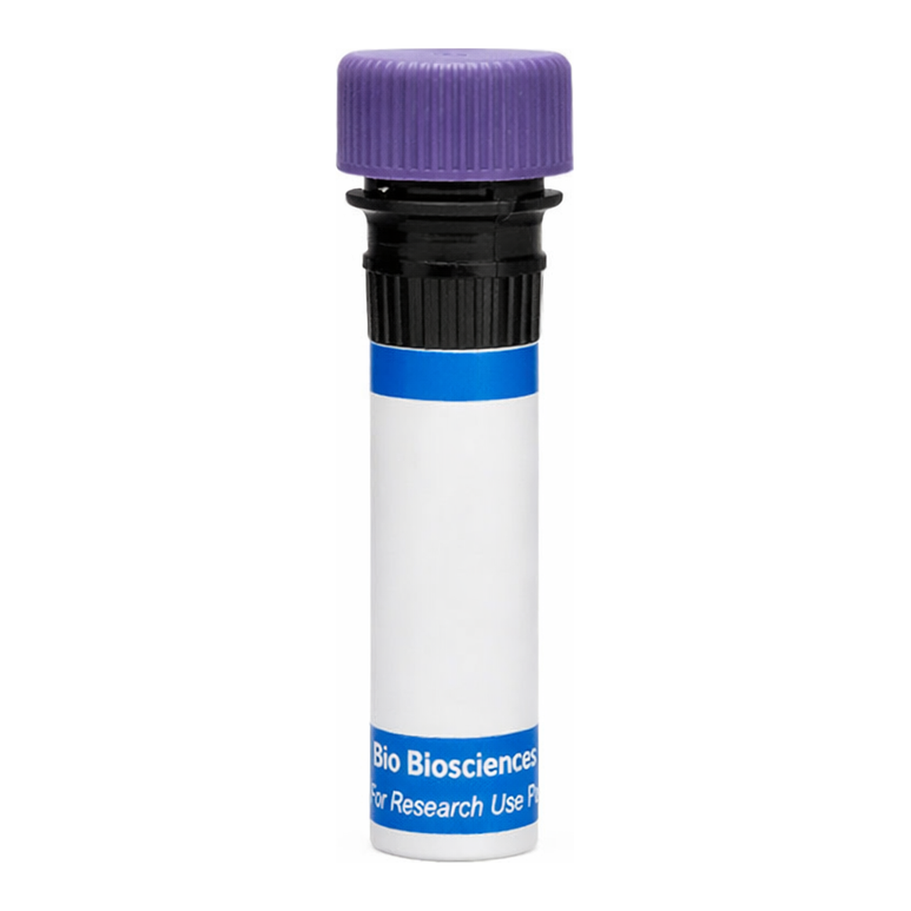 BD RB744 Mouse Anti-Rat IgG2b