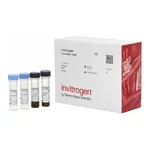 Thermo Fisher Scientific IL-7 Non Human Primate ProcartaPlex Simplex Kit