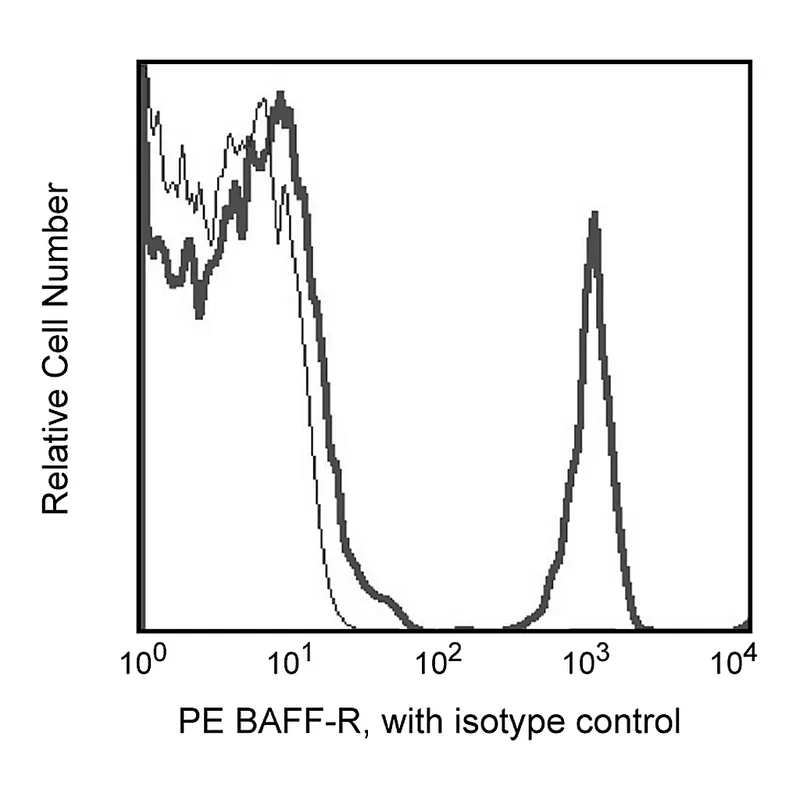 BD PE Mouse Anti-Human CD268 (BAFF Receptor)