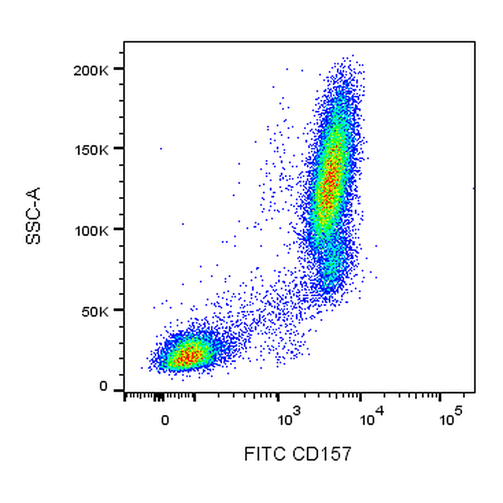 BD FITC Mouse Anti-Human CD157