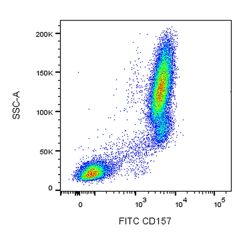 BD FITC Mouse Anti-Human CD157