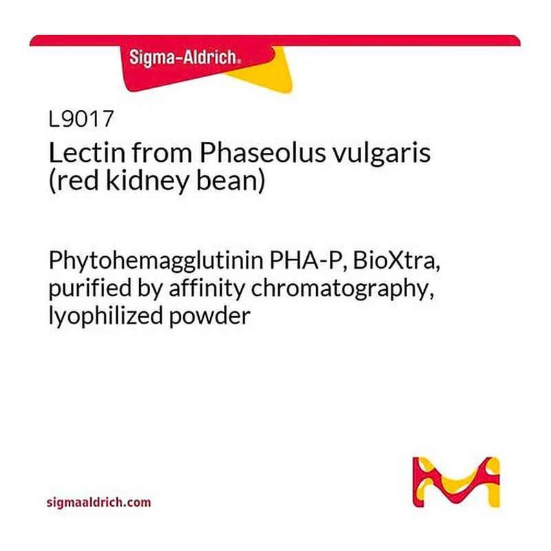 Merck Lectin from Phaseolus vulgaris (red kidney bean)