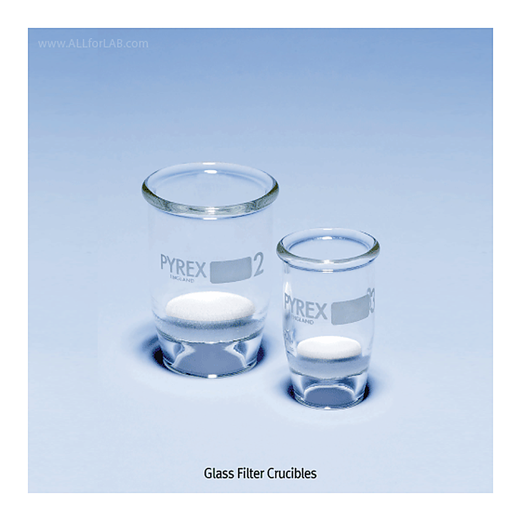 Scilabware High-grade Glass Filter Crucible