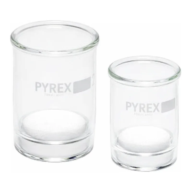 Scilabware High-grade Glass Filter Crucible