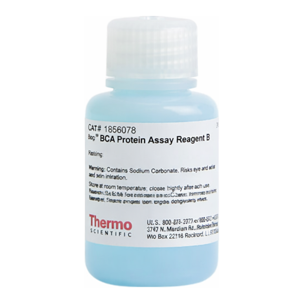 Thermo Fisher Scientific Pierce BCA Protein Assay Reagent B
