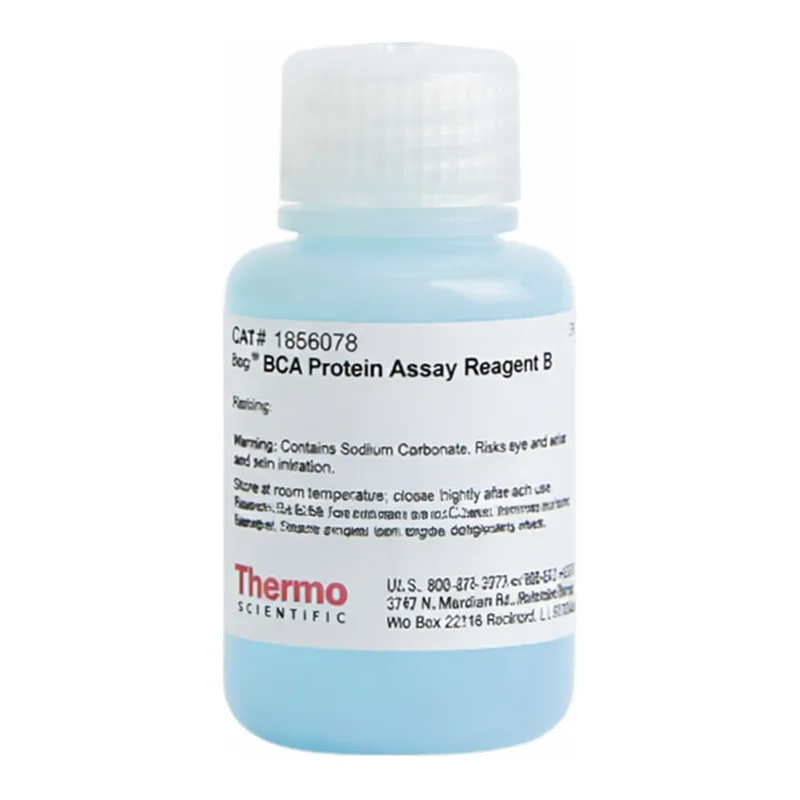 Thermo Fisher Scientific Pierce BCA Protein Assay Reagent B