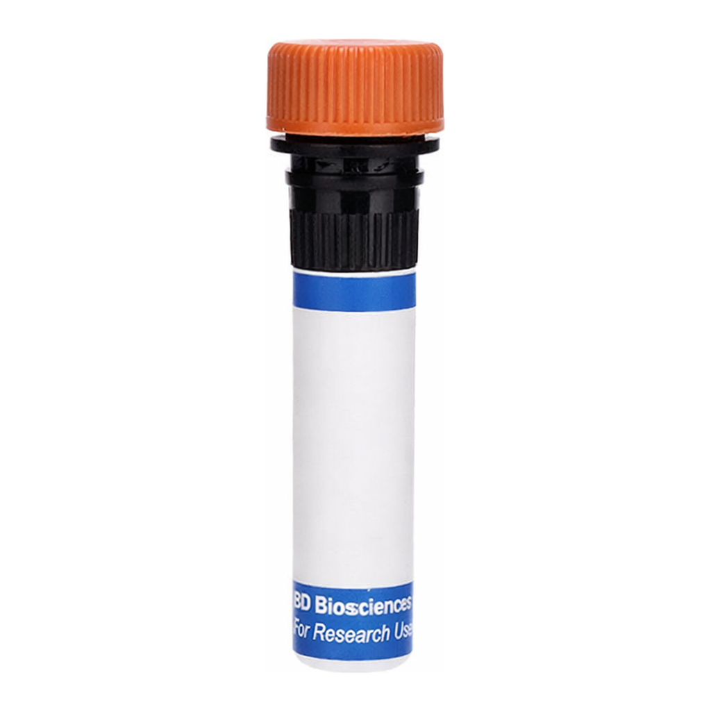 BD RB613 Biosimilar Anti-Human HER2