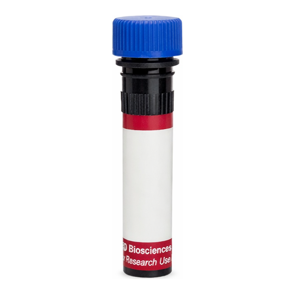 BD R718 Hamster Anti-Mouse γδ T-Cell Receptor