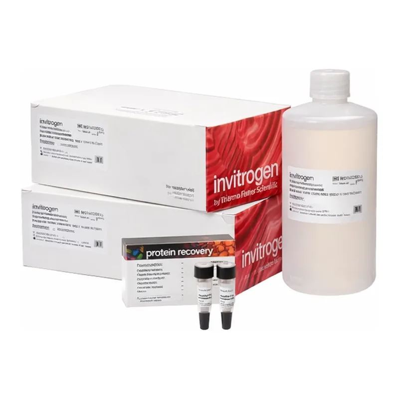 Thermo Fisher Scientific Novex Midi Tris-Glycine Plus Resupply Pack, 4 to 20%, WedgeWell format, 20-well, 1 Kit