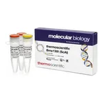 Thermo Fisher Scientific Bme1390I (ScrFI) (10 U/μL), 500 units