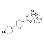 Merck 6-(1-Piperazinyl)pyridine-3-boronic acid pinacol ester
