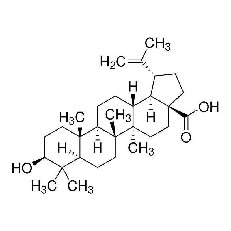 Merck Betulinic acid