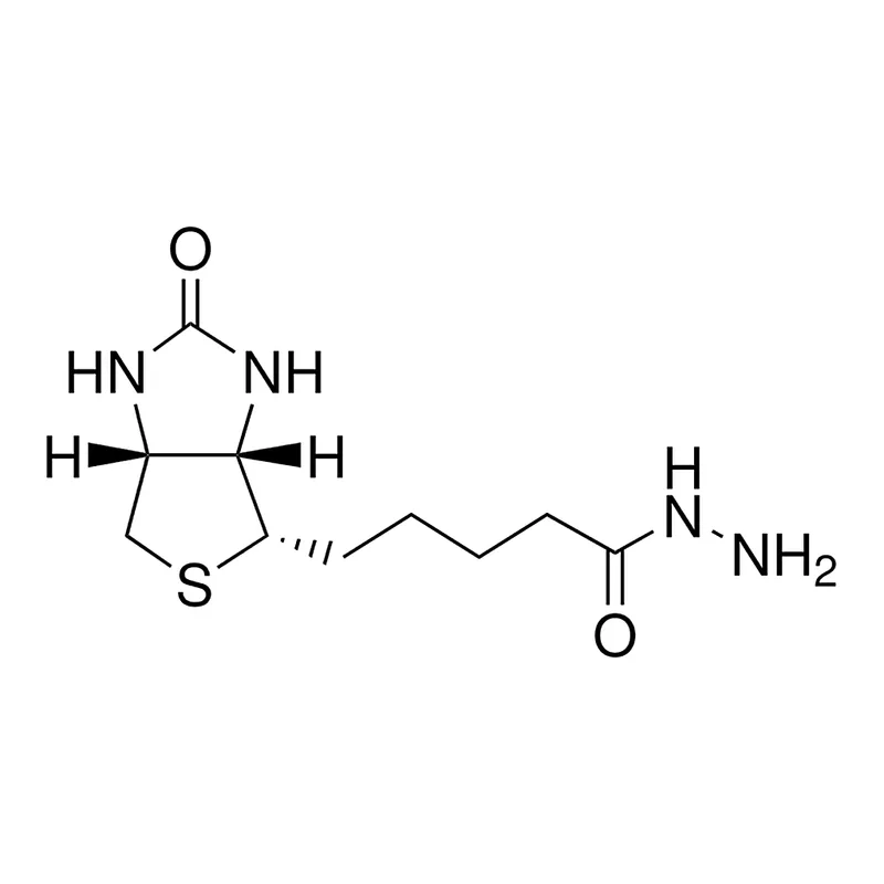 Merck (+)-Biotin hydrazide