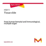 Merck Tissue slide