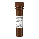 Thermo Fisher Scientific Halt Protease and Phosphatase Inhibitor Cocktail, EDTA-free (100X), 1 mL