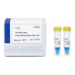 Intron 2X PCR Master mix Solution (i-StarTaq)