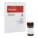 Thermo Fisher Scientific NBD-PE (N-(7-Nitrobenz-2-Oxa-1,3-Diazol-4-yl)-1,2-Dihexadecanoyl-sn-Glycero-3-Phosphoethanolamine, Triethylammonium Salt)
