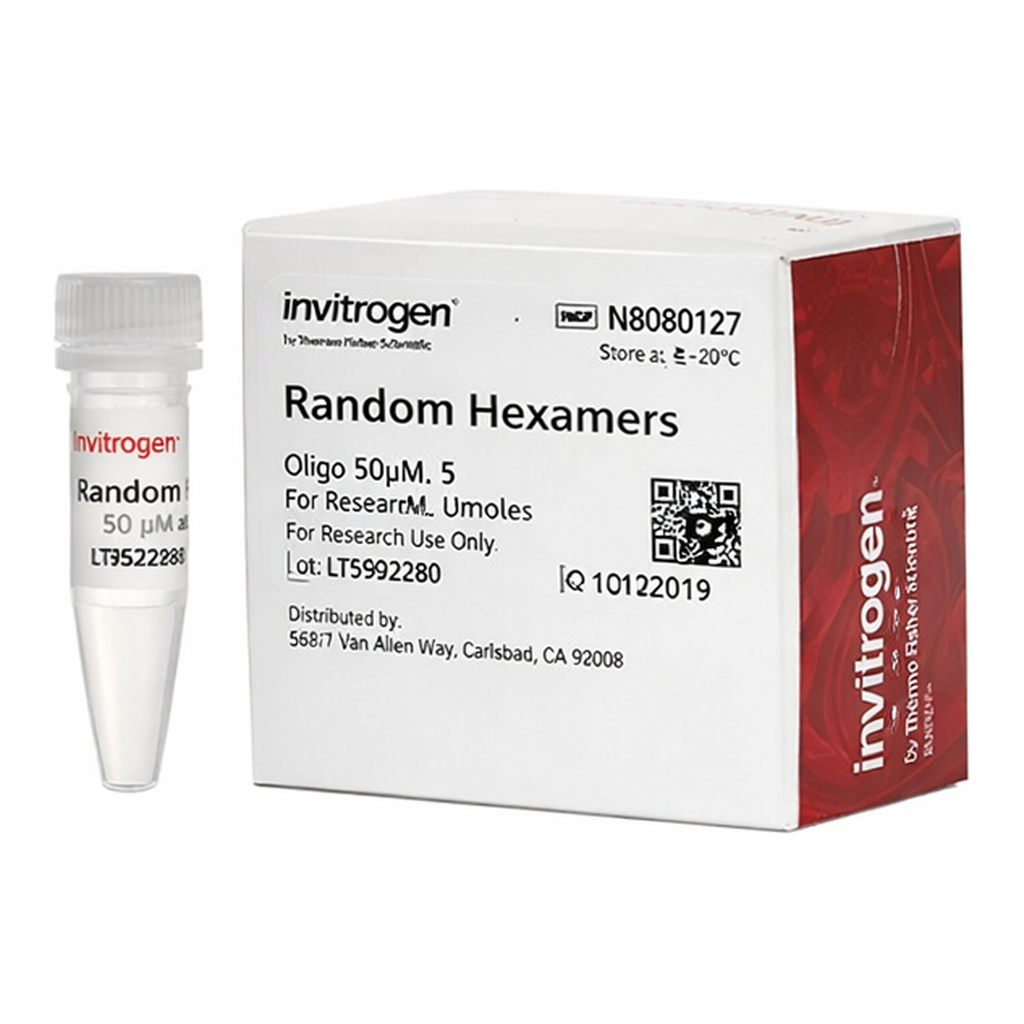 Thermo Fisher Scientific Random Hexamers (50 &mu;M)