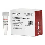 Thermo Fisher Scientific Random Hexamers (50 μM)