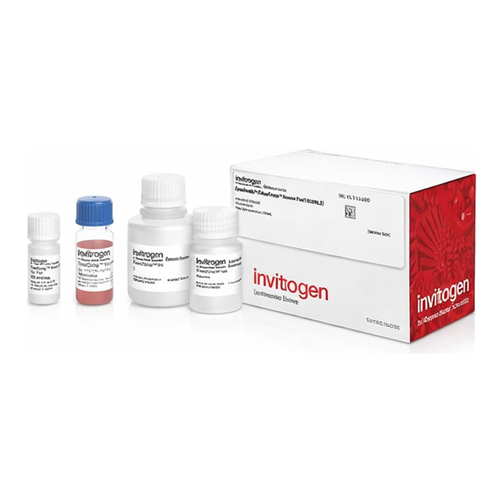 Thermo Fisher Scientific Dynabeads FlowComp Mouse Pan T (CD90.2) Kit