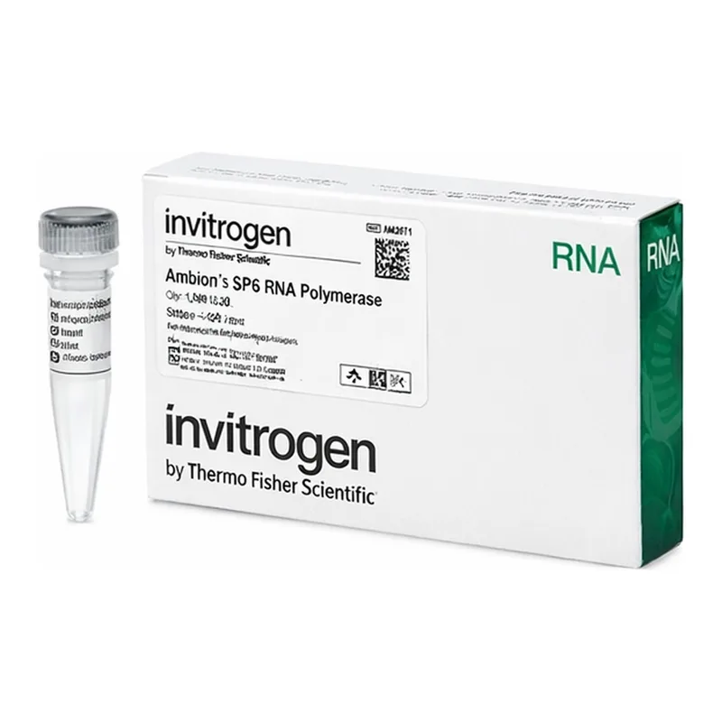 Thermo Fisher Scientific Ambion SP6 RNA Polymerase, cloned, 20 U/μL