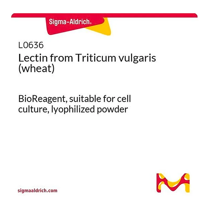 Merck Lectin from Triticum vulgaris (wheat)