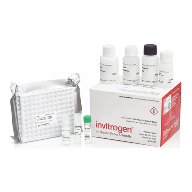 Thermo Fisher Scientific Mouse Testosterone Rapid ELISA Kit