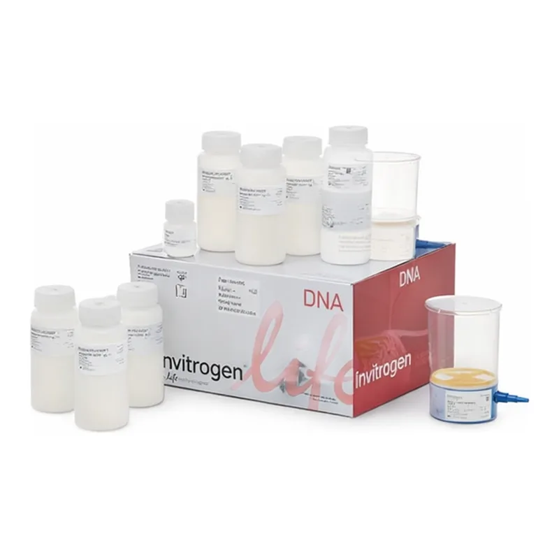 Thermo Fisher Scientific PureLink HiPure Expi Plasmid Gigaprep Kit