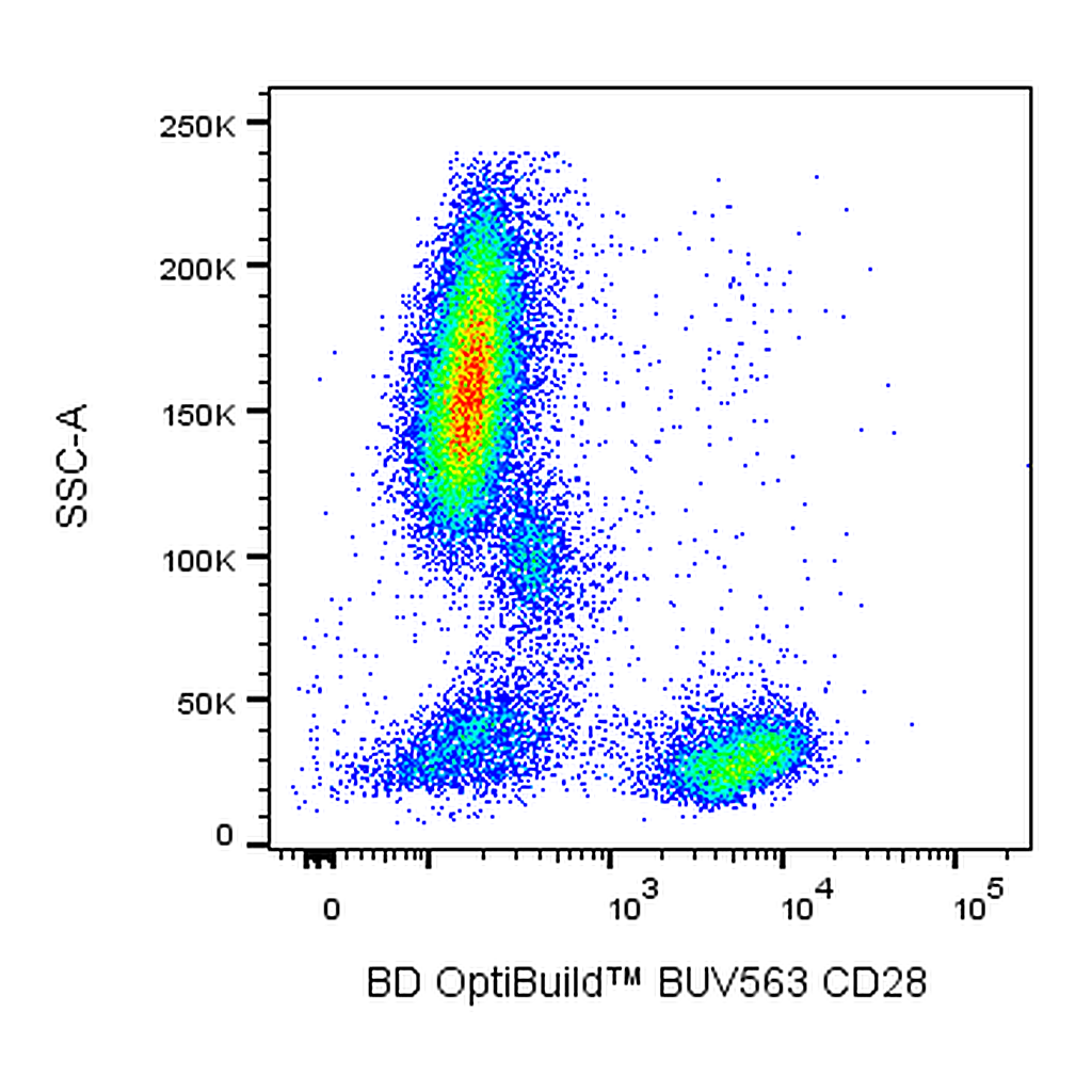 BD BUV563 Mouse Anti-Human CD28