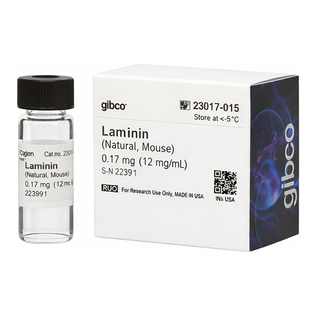 Thermo Fisher Scientific Laminin Mouse Protein, Natural