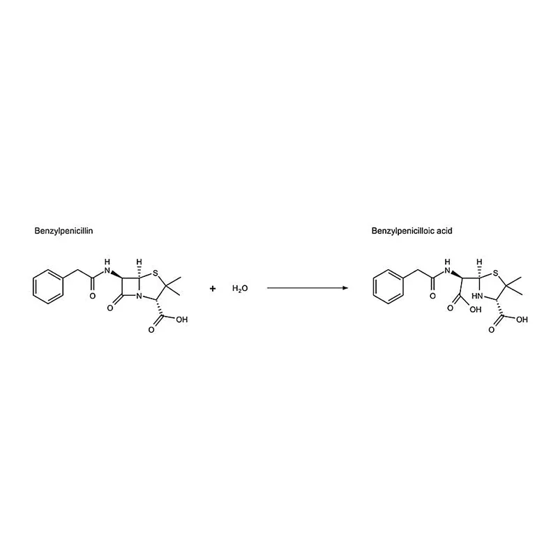 Merck beta-Lactamase from Enterobacter cloacae