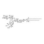 Merck GANGLIOSIDE-TOTAL