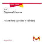 Merck Glypican 3 human